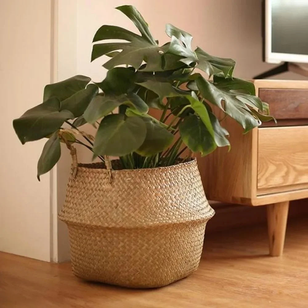 Cesto Cozy em Rattan Natural